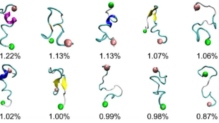 Figure 4. The top ten most populated representative confor- confor-mations of PrP106–126