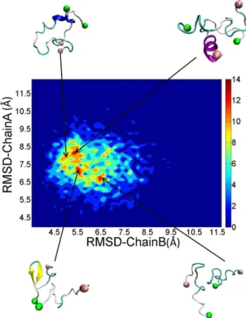 Figure 9. Distributions and representative structures of dimeric PrP106–126.
