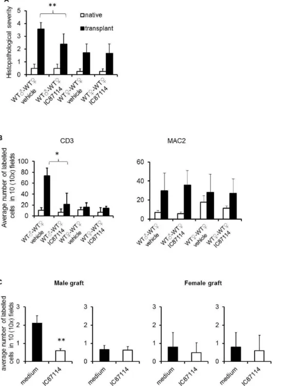 Figure 5. Pharmacologic inhibition of PI3K p110 d inhibits chronic heart rejection by preventing T cell access to the graft