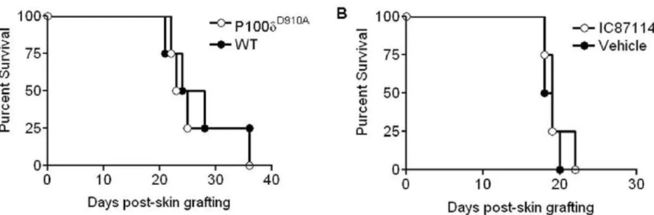 Figure 7. PI3K p110 d inactivation reduces skin graft infiltration by antigen-specific T cells