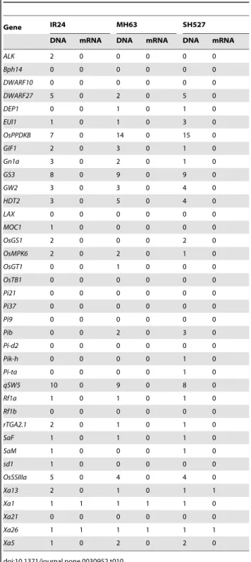 Table 10. Cloned rice gene InDel detect in IR24, MH63 and SH527.