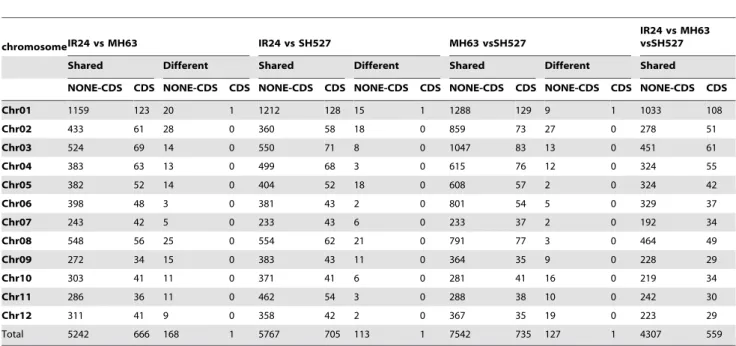 Table 7. None-CDS and CDS located InDels variations between samples.