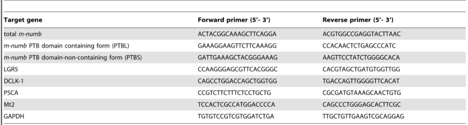 Table 1. Primer sequences for quantitative RT-PCR.