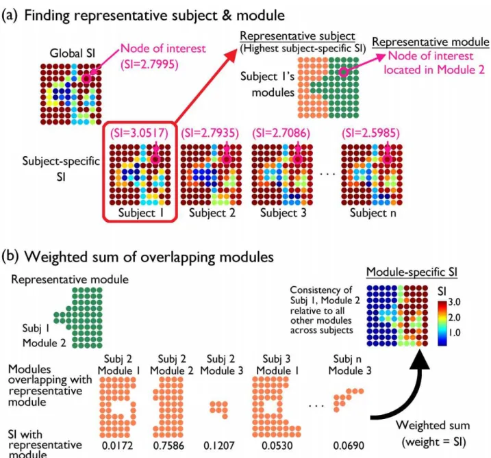 Figure 9. A schematic of module-specific SI calculation. For a particular node of interest, the most representative subject with the highest SI is determined from subject-specific SI maps (a)