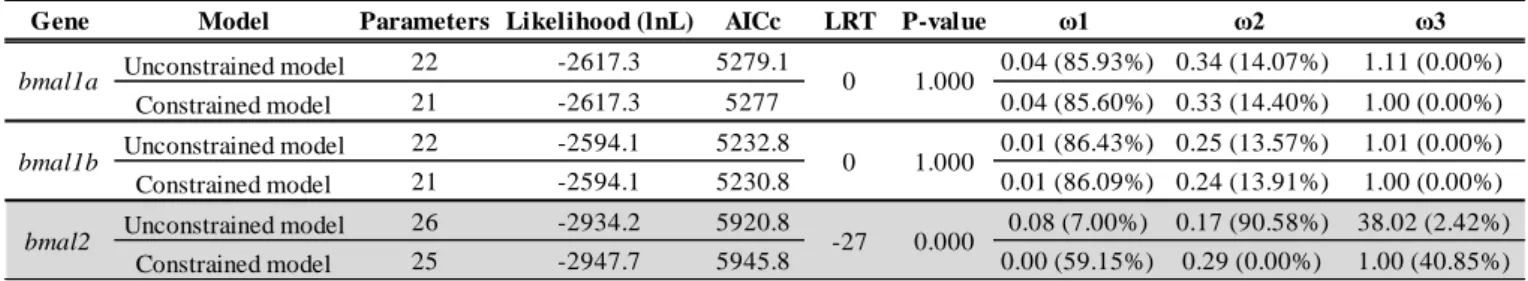 Table  3.10. Summary  of  gene-wide  positive  selection  analysis  in  bmal  genes  using  the  BUSTED  method  implemented  in  Datamonkey  webserver