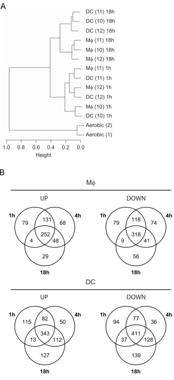Figure 5B). A common mycobacterial response to the two phagocytes was identified as well as cell-type specific signatures.