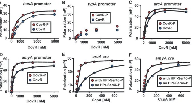 Figure 6. CcpA and CovR contribute to GAS gene expression during growth in human saliva