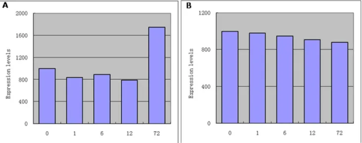 Figure 1. The expression of the probe after exposure to salt stress for 0 h, 1 h, 6 h,12 h by microarray analysis in the salt-tolerant wheat mutant RH8706-49