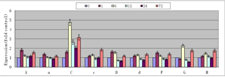 Figure S1 Overexpression of wheat V-H + -ATPase c subunit in transgenic plants was confirmed by RT-PCR.