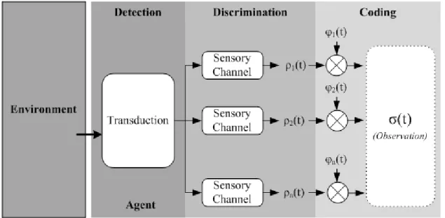 Figure 3.2: Formation of cognitive elements from the agent perception.