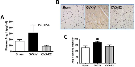 Figure 3. Cardiac ACE expression and activity. (A) Cardiac ACE mRNA level determined by real-time PCR, and (B) cardiac ACE activity in sham- sham-operated and oophorectomized female mRen2.Lewis rats treated with vehicle or estradiol for 4 weeks