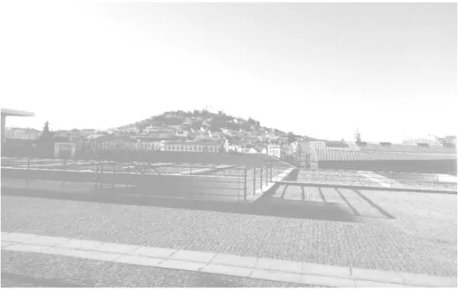 Figura 1- Fotografia da encosta da cidade de Castelo Branco, por Ano Seborro 
