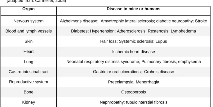 Table  2-  Diseases  characterized  or  caused  by  insufficient  angiogenesis  or  vessel  regression  (adapted from: Carmeliet, 2005) 