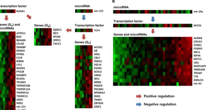 Table 4 presents enriched functions or signaling pathways for selected modules. Several mod- mod-ules have many enriched functions or pathways related to ovarian cancer, such as the p53  sig-naling pathway [43], ECM receptor interactions [44], and cell cyc