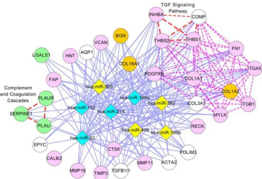 Fig. 6 illustrates module 8, which contains 34 genes and 8 miRNAs (5 genes are not shown).