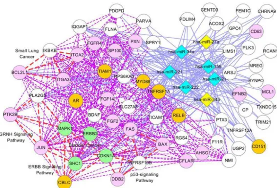 Fig. 7 illustrates a network presentation of module 11, where 74 genes (15 genes are not shown) and 7 miRNAs are presented as nodes