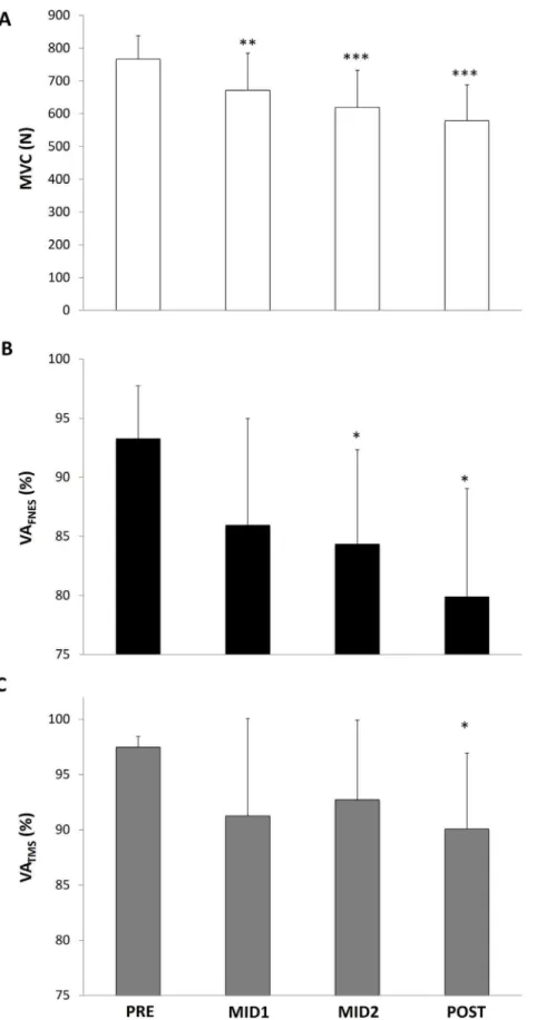 Figure 3. Maximal voluntary contraction (MVC) force (panel A), maximal voluntary activation assessed by interpolated twitch technique (VA FNES , panel B) and maximal voluntary activation assessed by transcranial magnetic stimulation (VA TMS , panel C) of t