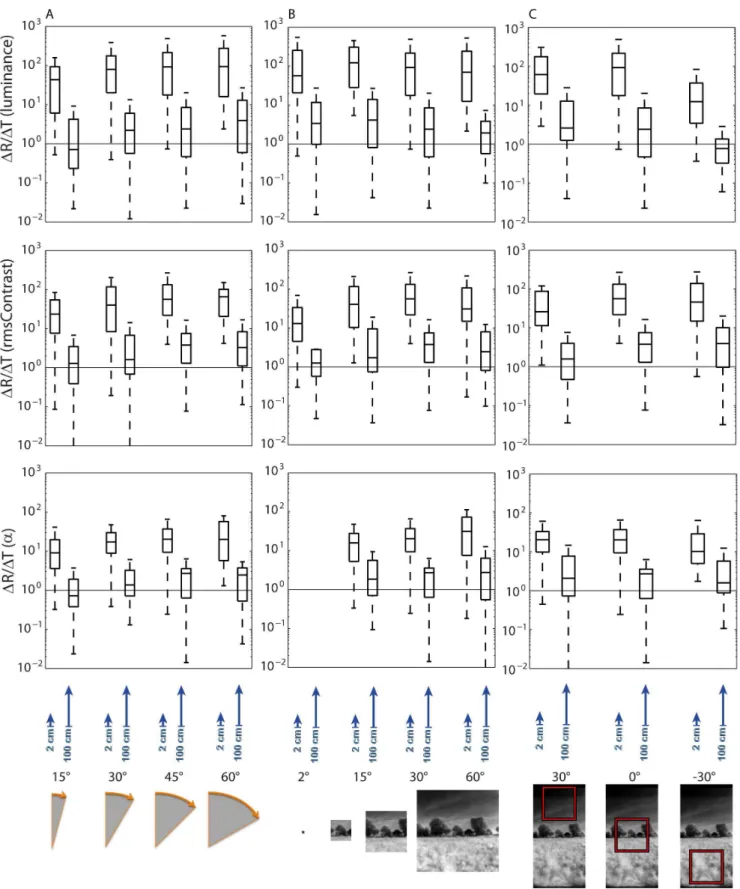 Figure 9. Comparison of ratio between the changes of the image parameters analyzed. Changes in brightness (upper row), rms contrast (middle row) and a-exponent (bottom row) are shown as caused by rotations (DR) and by translations (DT) over either 2 cm or 