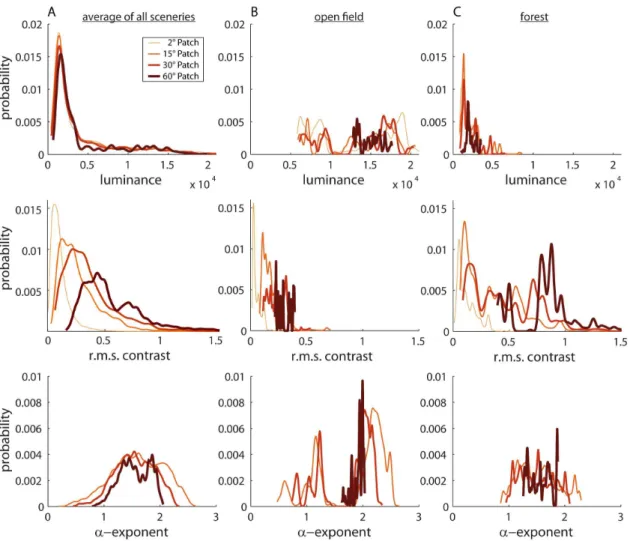 Figure 4. Probability distributions of image parameters for the differently sized image patches