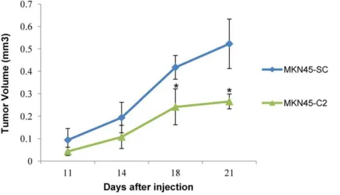 Figure 5. Study of the tumorigenicity of MKN45 gastric carcinoma cells in vivo . Tumor growth curves