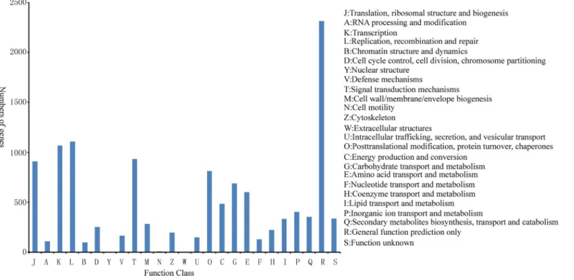 Fig 4. Functional classification of licorice based on COG.