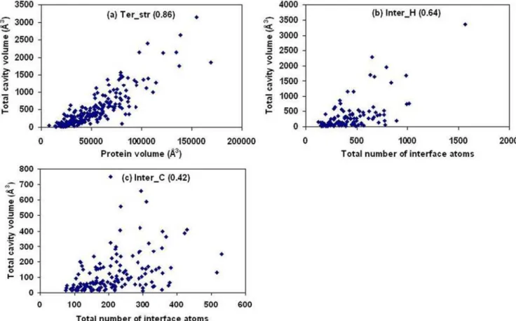 Figure 2. Dependence of the total volume of cavities on the volume (or the total number of atoms) of the protein (or the interface).