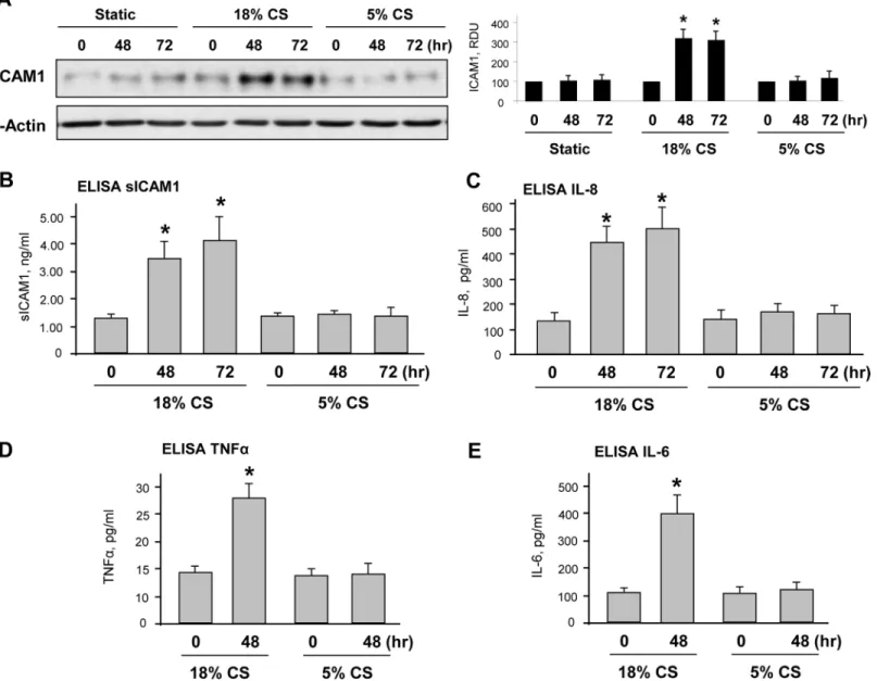 Fig 1. Effects of chronic 5% and 18% CS on pulmonary EC inflammatory activation. HPAEC grown on Flexcell plates were subjected to 18% or 5% CS for 48 or 72 hours