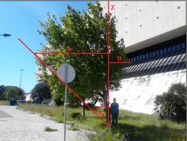 Figure 4. Cont.