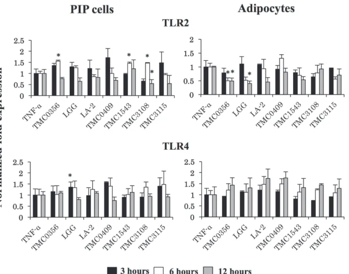 Fig 7. Induction of TLRs expression in PIP cells and differentiated adipocytes. Both PIP cells and differentiated adipocytes were pre-stimulated with CFS of various LABs for 48 h and then post-stimulated with TNF-α for 3, 6, and 12 hours