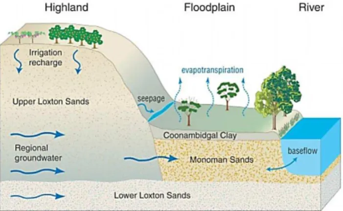 Figure 2 Configuration of SIS produ tion  ells  in  lue  and o ser ation  ells  in red  at the Clark’s Floodplain