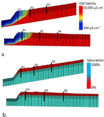 Fig. 4. 3-D demonstration of simulated initial condition along tran- tran-sects B1 and B2: (a) porous media saturation, (b) solute  concentra-tion distribuconcentra-tion