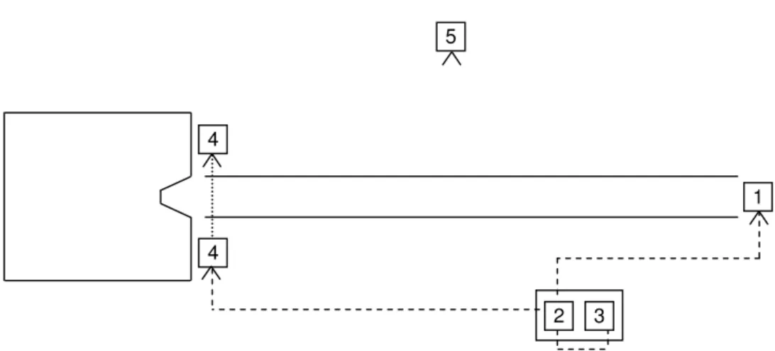 Figura 11 – Representação esquemática do esquema do protocolo experimental. 