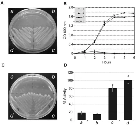 Figure 6. Functionality of TatC subunits. Complementation of the E. coli D tatC (BILK0-P) with heterologous tatC from A