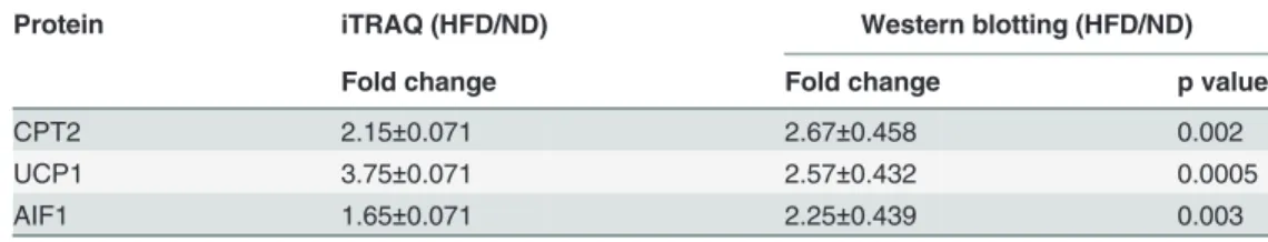 Table 3. Fold change of BAT proteins between HFD and ND group (mean ± SEM) measured by iTRAQ coupled with LC-MS/MS and western blotting (normalized to β-actin).