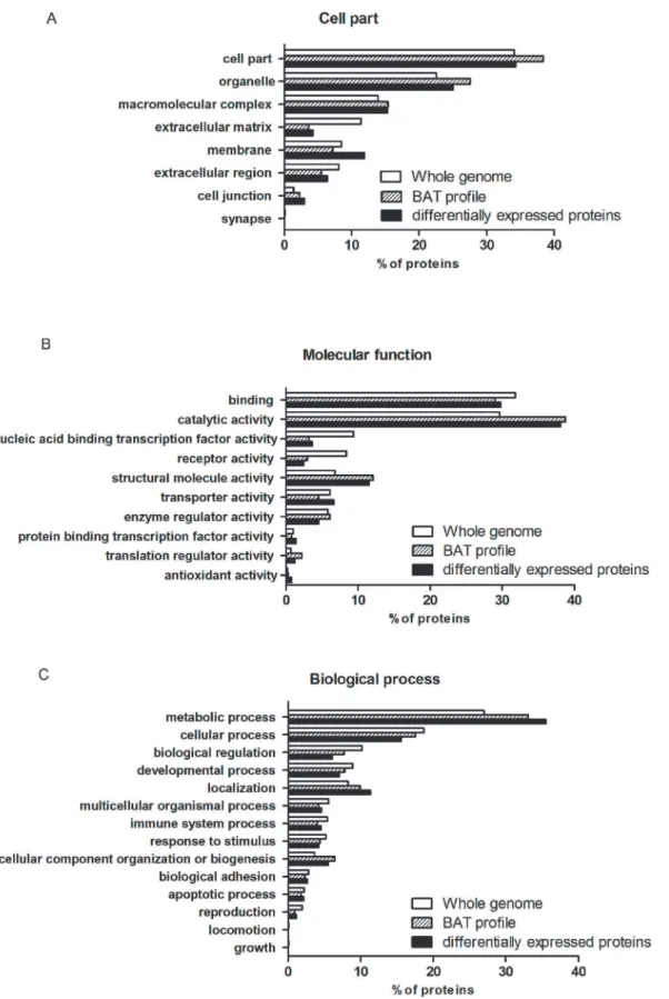 Fig 3. Differential proteins between HFD and ND group in BAT were analyzed through the PANTHER classification system