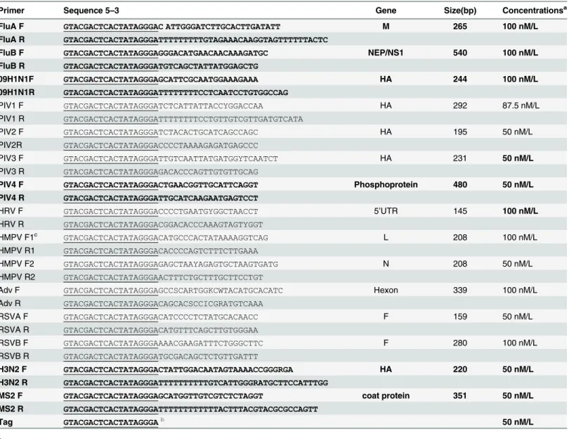 Table 1. Primer information.