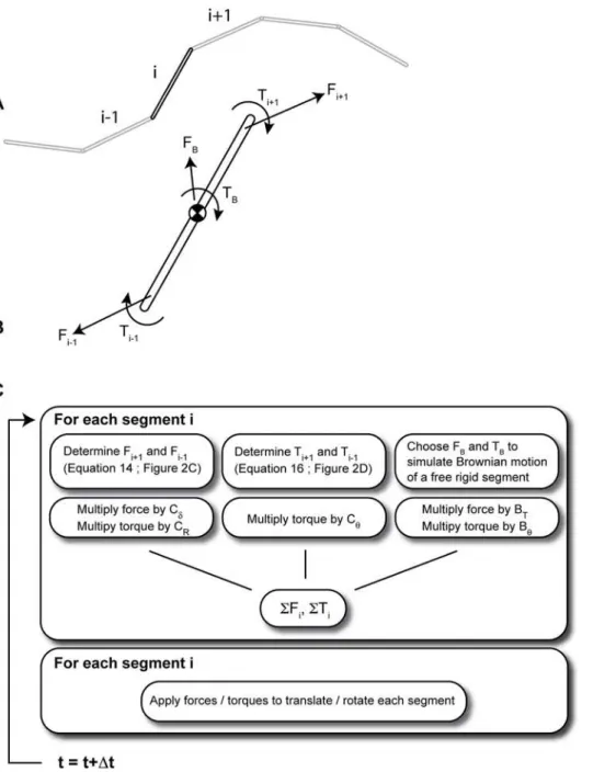 Fig. 5 explores the PAIRS coefficient dependence on time-step and the method accuracy as a function of filament length and external force