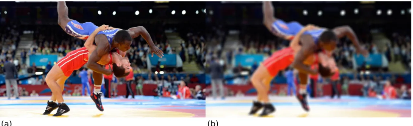 Figure 2.9: PSNR comparison. (a) Image with perfect psnr: 100. (b) Blurred image with a lower psnr value: 39.52
