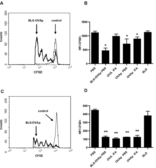 Figure 1. Specific CD8+ proliferation induced by BLS-OVA 257–264 . C57BL/6J mice received CFSE-labeled OT-I CD8+ cells and were then immunized s.c