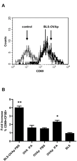 Figure 2. Early activation of specific cells induced by BLS- BLS-OVA 257–264. C57BL/6J mice received CFSE-labeled OT-I CD8+ cells and were then immunized s.c
