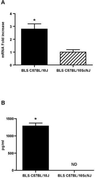Figure 6. IFN-c induced by BLS. A: C57BL/10J or C57BL/10ScNJ were immunized with BLS in the right hind footpad