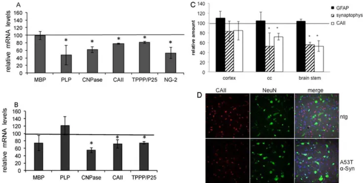 Figure 7. Oligodendrocyte are affected in A53T a -Syn tg mouse brains. A. Total RNA was extracted from one mouse brain hemisphere (n = 4–5 brains) of ntg and A53T a-Syn and analyzed by real time-PCR with specific primers as indicated in methods