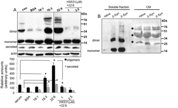Figure 2. a -Syn secretion from MN9D dopaminergic cells is associated with PUFA-enhanced a -Syn oligomerization