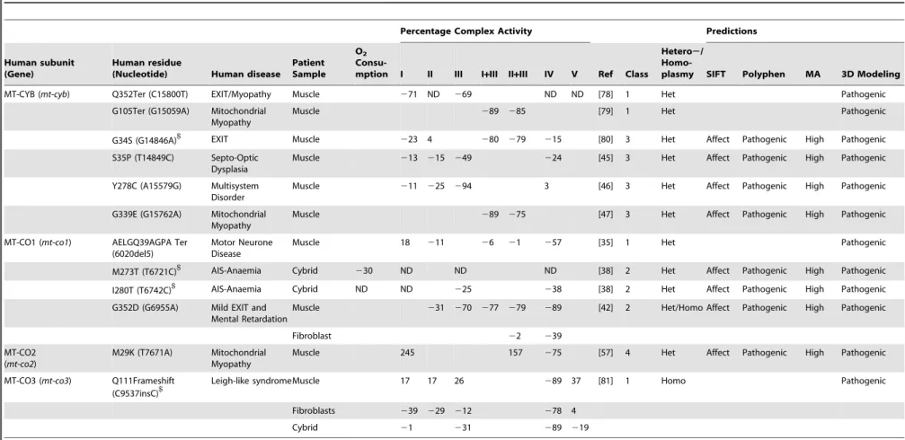 Table 2. Structural classification and pathogenic prediction of mutations in the mtDNA complex III and IV genes (mt-cyb and mt-co1-3, respectively) reported with known human disease associations and biochemical effects.