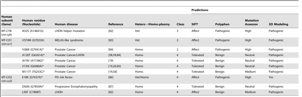 Table 3. Structural classification and pathogenic prediction of mutations in the mtDNA complex III and IV genes (mt-cyb and mt-co1-3, respectively) reported with human disease associations but without known biochemical effects.