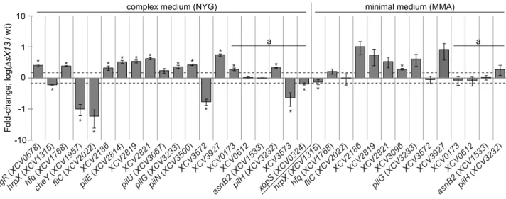 Table 1). Similarly, XCV3572, which encodes a TonB-dependent receptor, was downregulated in NYG- but not in MMA-grown XcvDsX13 (Figure 4; Table 1)