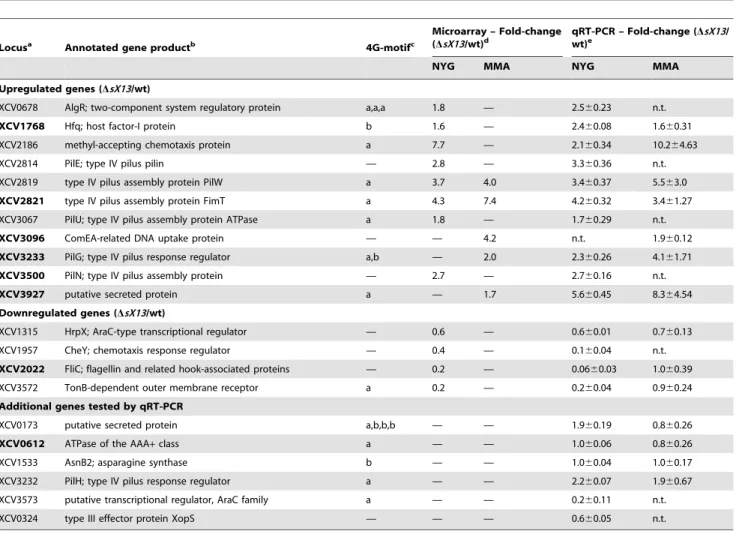 Table 1. Selected sX13-regulated genes validated by qRT-PCR analysis.