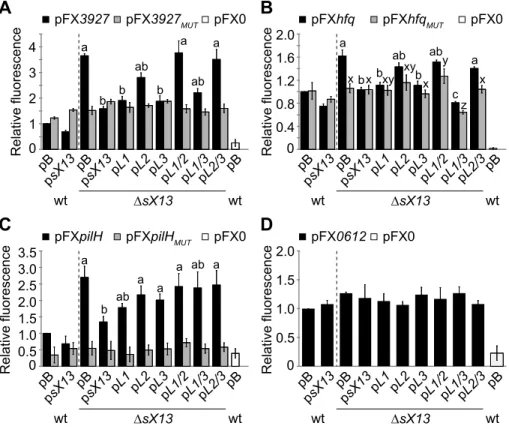 Figure 8. sX13-dependency of mRNA target::GFP synthesis requires a G-rich motif. GFP fluorescence of NYG-grown Xcv strains 85-10 (wt) and DsX13 carrying pB, psX13 or mutated sX13-derivatives (see Figure 6) and carrying GFP-reporter plasmids (A) pFX3927, (B
