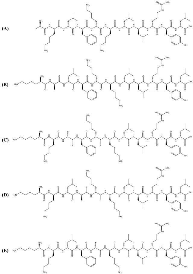 Figure 2.2 Structures of the analogues CC2-CC6. (A) CC2; (B) CC3; (C) CC4; (D)  CC5; (E) CC6