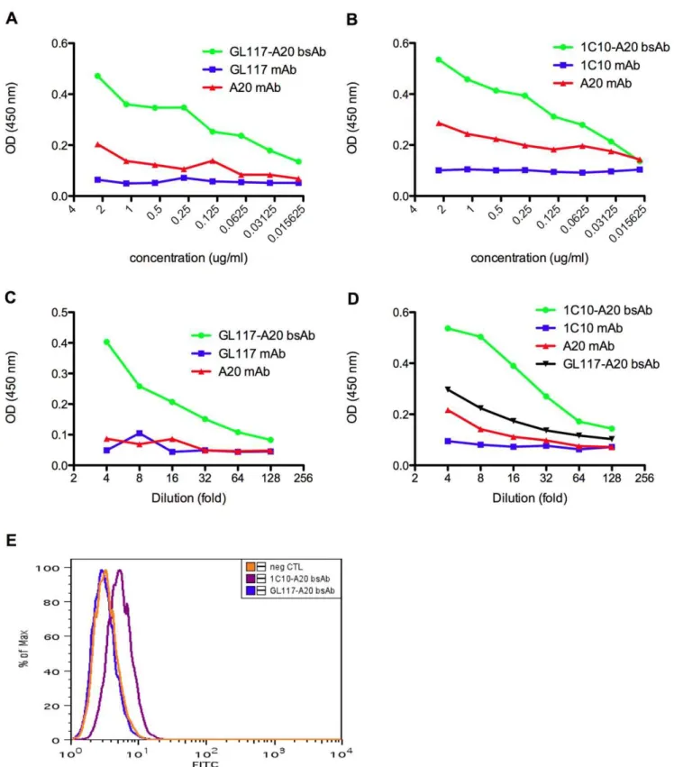 Figure 3. Verification of antigen recognition by hybrid bsAbs. The presence of GL117-A20 bsAb (a) and 1C10-A20 bsAb (b) was verified by simultaneous recognition of anti-rat IgG and anti-mouse IgG in ELISA assay 1 as visualized by an increase in the OD read